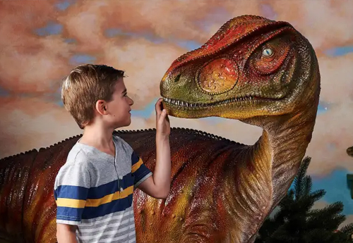 This image is used for The Children's Museum link button